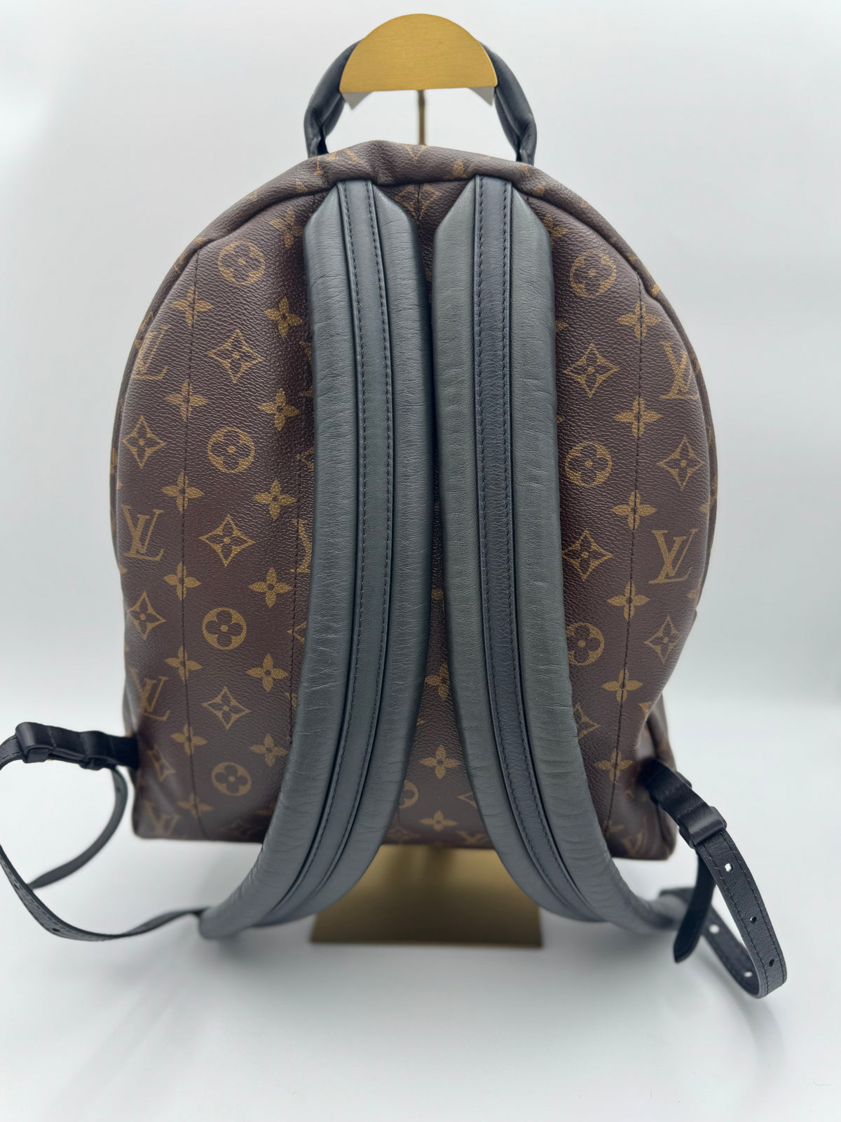 Louis Vuitton Palm Springs Backpack MM – Monogram Canvas